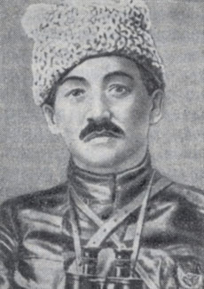 Ока Иванович Городовиков (1879-1960)